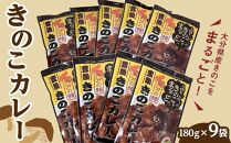 大分県産きのこをまるごと！豊後きのこカレー 180g×9袋 セット