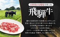 飛騨牛Ａ5 小間切れ 500g｜国産 肉 牛肉 和牛 黒毛和牛 グルメ A5等級 おすすめ AD126 【飛騨牛 和牛ブランド 飛騨牛 黒毛和牛 飛騨牛 岐阜 大野町 飛騨牛】