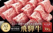 飛騨牛「希少部位」Ａ5 イチボ 焼肉用 300ｇ｜国産 肉 牛肉 焼肉 和牛 黒毛和牛 グルメ おすすめ AD103 【飛騨牛 和牛ブランド 飛騨牛 黒毛和牛 飛騨牛 岐阜 大野町 飛騨牛】