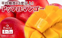 【2025年7月下旬より発送】【先行予約】平均糖度13度以上！アップルマンゴー約2kg（4~5玉）| 果物 フルーツ マンゴー アップルマンゴー 2kg 人気 おすすめ おすすめフルーツ 期間限定 鹿児島県 与論町