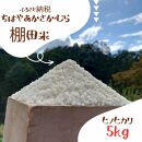 【大阪千早赤阪村産】ちはやあかさかむらの棚田米　ヒノヒカリ5kg