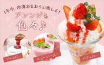 福岡産冷凍あまおう500g×4袋【いちご イチゴ 苺 果物 フルーツ あまおう 博多あまおう 冷凍あまおう 冷凍 福岡産  アイス 贅沢 お菓子 菓子 おかし デザート パフェ ヨーグルト ジャム ソース ババロア ムース スムージー かき氷 シャーベット 冷凍食品 人気 おすすめ 福岡県 大任町 ふるさと納税 送料無料 AH005】