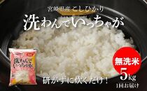 無洗米コシヒカリ 洗わんでいっちゃが 5kg K23_0002