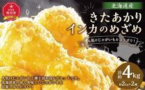 【先行予約】じゃがいもをコラボで!　きたあかり×インカのめざめ(各2kg) 2025年10月上旬頃発送開始 【 インカの目覚め じゃがいも ジャガイモ いも 芋 ポテト 旭川 北海道 野菜 】_03649