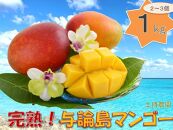 「2025夏発送」★厳選★ 完熟 与論島マンゴー １kg（2～3個）【数量限定】【産地直送】【先行予約】