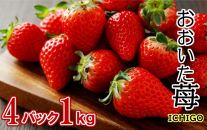 【先行予約】令和6年発送/大分県産いちご1kg/250g×4パック_1937R