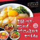 【真鯛・ブリ・カンパチ・マグロ】高知の海鮮丼の素「4種×各2パックセット」（1食約80g×8パック）【ポイント交換専用】