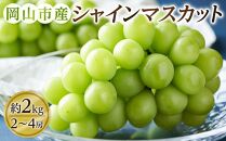 ぶどう 2025年 先行予約 シャインマスカット 2～4房（約2kg） ブドウ 葡萄 岡山市産 国産 フルーツ 果物 ギフトタンポポ農園