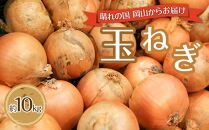玉ねぎ 岡山市産 約10kg 2025年 先行予約  野菜 たまねぎ タマネギ オニオン