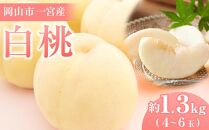 桃 2025年 先行予約 ご家庭用 岡山市一宮産 白桃（早生、中生種）約1.3kg 4～6玉 もも モモ フルーツ 果物 犬塚農園