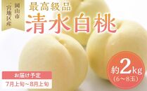桃 2025年 先行予約 清水 白桃 6～8玉入 約2.0kg 岡山市一宮地区産 もも モモ フルーツ 果物 ギフト