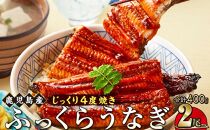 うなぎ 蒲焼 200g×2尾【鹿児島産】地下水で育てた絶品鰻