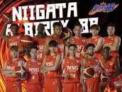 【新潟県NFT】新潟アルビレックスBB NFT