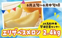 【先行予約】数量限定 鳥取県産 エリザベスメロン 4玉（2.4kg）