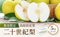 【先行予約】数量限定 鳥取県産梨 二十世紀梨 5kg（12～14玉）