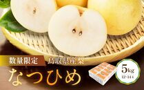 【先行予約】数量限定 鳥取県産梨 なつひめ 5kg（12～14玉）