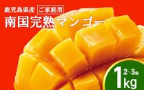 【2025年発送】【ご家庭用】結いの町　南国完熟マンゴー（1ｋｇ）