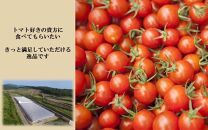 国東産ミニトマト「濃いとまと」1.2kg 小分け 200g×6袋_2363R