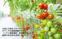 国東産ミニトマト「濃いとまと」1.2kg 小分け 200g×6袋_2363R