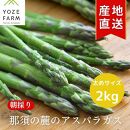 【2025年4月発送】那須の麓の朝採りアスパラガス　太めサイズ　2kg