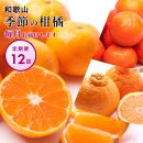 ［ 毎月発送 全12回 ］ 柑橘定期便A［IKE9］