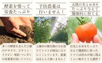 トマトジュース3本セット【プレミアムトマト、トマト】 ／ プレミアムトマトジュース とまと 野菜 埼玉県