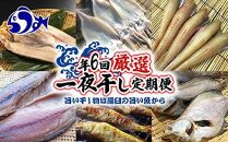 年6回　羅臼直送　旨い干し物は羅臼の旨い魚から　厳選一夜干し定期便 生産者 支援 応援