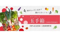 大和情熱野菜【玉手箱】 約5kg （ 13～18種類 ）