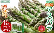 【2025年発送先行予約】露地物朝採りアスパラ　鮮度保持フィルム入り　2～3L　500g×2　合計1kg 【 アスパラ アスパラガス 朝採り とれたて 野菜 旬 小分け 保存 産直 産地直送 お取り寄せ 旭川市 北海道 】_03817