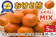 【先行予約】ふぞろいmixおけさ柿　約5kg（25～31個）（家庭用）
