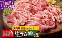 ラム肉 焼肉セットA 600g × 2パック 羊肉 ジンギスカン ラムチョップ スペアリブ 焼肉 焼肉セット ふるさと納税 ふるさとチョイス 北海道 白糠町