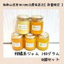 【お中元】数量限定！店主にお任せ 無添加 柑橘ジャム140ｇ×6個 【2024年7月1日～8月5日ごろ順次発送】