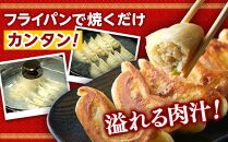 全て国産食材、銘柄豚使用！肉汁あふれる！【横浜大宝餃子】もちもち国産ジャンボ大宝餃子30個ともちもち水餃子40個 老舗餃子メーカー 横浜中華 焼餃子 冷凍餃子 ギョーザ ぎょうざ 大きい 中華 おかず 惣菜 ギフト プレゼント