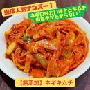 【当店人気No１】迷ったらコレ！ネギキムチ（200g×5袋）｜ キムチ 惣菜 ねぎ おつまみ おかず 無添加 冷凍 発酵食品 人気 手作り 数量限定
