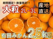 ［先行受付2025年］和歌山県産 有田みかん 大粒サイズ 2.5kg