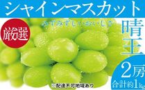 ぶどう 2025年 先行予約 シャイン マスカット 晴王 2房（合計約1kg） ブドウ 葡萄  岡山県産 国産 フルーツ 果物 ギフト
