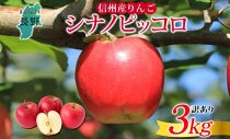 ＜25年発送 先行予約＞長野県産 りんご シナノピッコロ 訳あり 約3kg リンゴ 旬 フルーツ 訳アリ 林檎 果物 規格外 自家用 産地直送 農園 産直 お取り寄せ もぎたて 採れたて 送料無料 堀田農園 信州 大町市