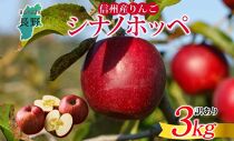 ＜25年発送 先行予約＞長野県産 りんご シナノホッペ 訳あり 約3kg リンゴ 旬 フルーツ 訳アリ 林檎 果物 規格外 自家用 産地直送 農園 産直 お取り寄せ もぎたて 採れたて 送料無料 堀田農園 信州 大町市