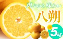爽やかな味わい 八朔 約5kg【2026年2月中旬～2026年3月下旬配送】