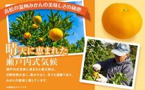 【先行予約】瀬戸内温州みかん　小粒サイズ　約10kg【2025-10月中旬～2026-1月下旬配送】