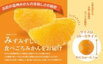 【先行予約】瀬戸内温州みかん　小粒サイズ　約10kg【2025-10月中旬～2026-1月下旬配送】