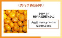 【先行予約】瀬戸内温州みかん　小粒サイズ　約10kg【2025-10月中旬～2026-1月下旬配送】
