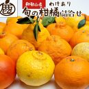 ＜1月より発送＞ 家庭用 柑橘 詰合せ 7kg+210g（傷み補償分） 訳あり わけあり 有田の春みかん詰め合わせ フルーツ詰め合せ オレンジつめあわせ 光センサー選別 ［IKE117］