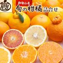 ＜1月より発送＞ 厳選 柑橘 詰合せ 3kg+90g（傷み補償分） 有田の春みかん詰め合わせ フルーツ詰め合せ オレンジつめあわせ 光センサー選別 ［IKE115］
