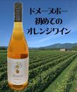 Domaine Beau 立野原 hineri オレンジ 2023