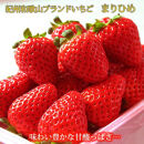 紀州和歌山ブランドいちご「まりひめ」約250g×4P 【2026年3月上旬頃～2026年3月下旬頃に順次発送】【UT39】