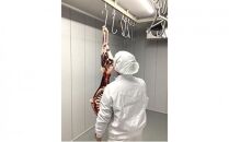 北海道 標茶町産 エゾ 鹿肉 骨付きかた肉 約2kg【 肉 にく 鹿肉 ジビエ ＢＢＱ バーベキュー グルメ ヘルシー 高タンパク 標茶町 北海道 】