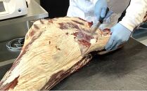 北海道 標茶町産 エゾ 鹿肉 骨付きかた肉 約2kg【 肉 にく 鹿肉 ジビエ ＢＢＱ バーベキュー グルメ ヘルシー 高タンパク 標茶町 北海道 】
