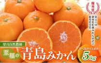 【2025年12月下旬より順次発送】至福の青島みかん 約5kg 望月自然農園 静岡県貯蔵ミカン品評会優秀賞 フルーツ 柑橘 オレンジ みかん