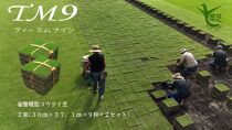 芝生(省管理型コウライ芝　TM9ティーエムナイン)２束セット※2平米分